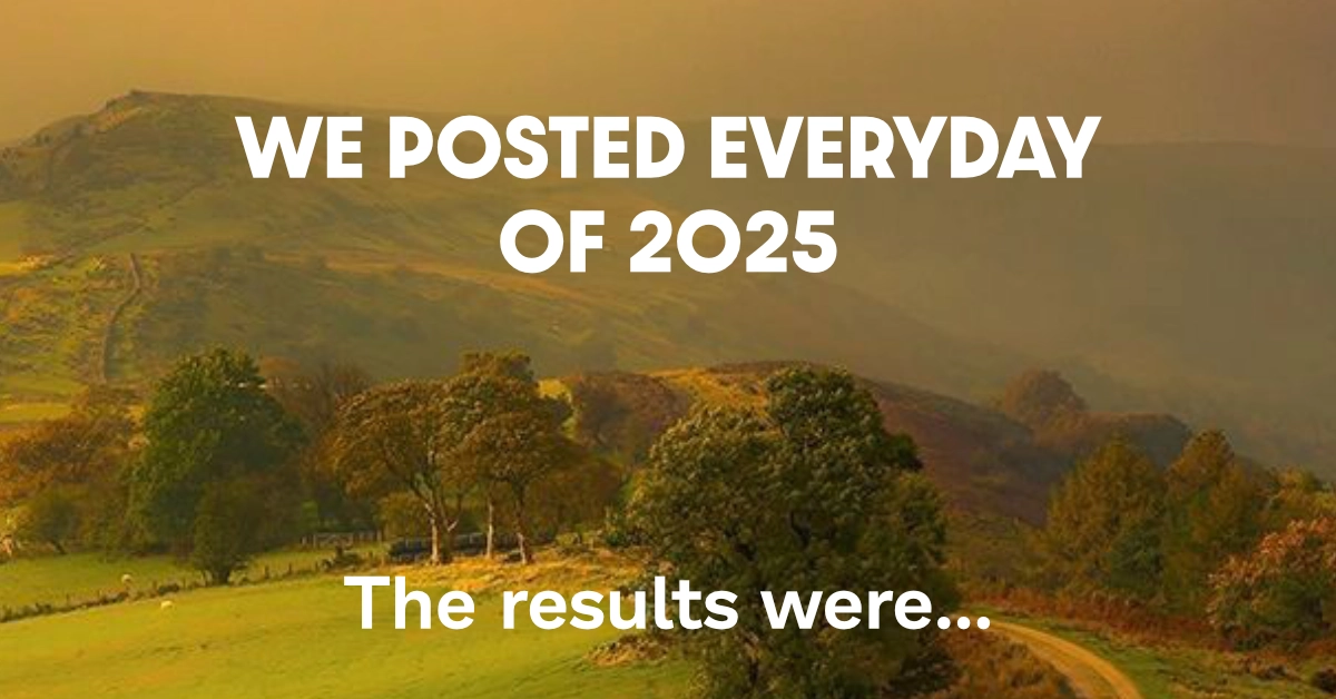 Social media growth by posting everyday