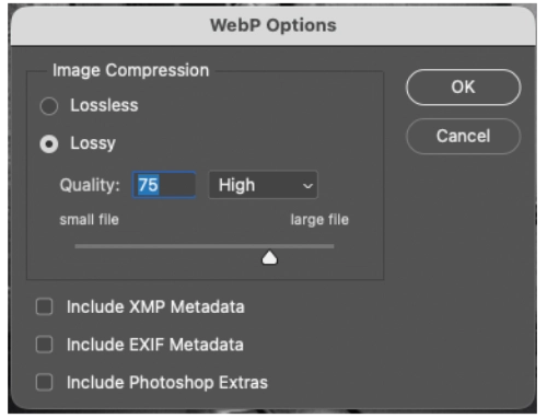 SEO in 2026 is best helped by using the Adobe Photoshop export settings